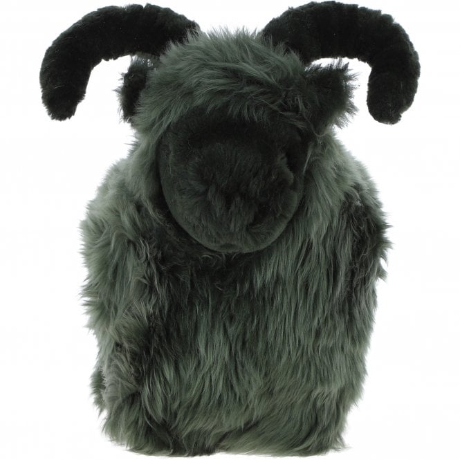 Ashwood LUCKY SHEEP Cypress