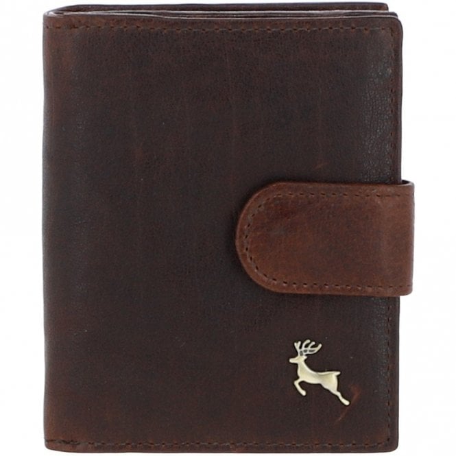 Ashwood Women's Vintage Wash Leather Wallet Purse Brandy : G-41