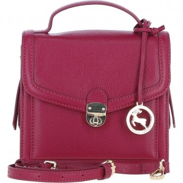 Compact Ashwood Handbag with Detachable Crossbody Strap Raspberry: Y-54