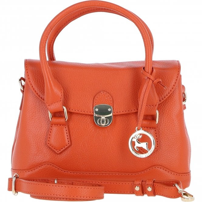 Ashwood Elegant Compact Handbag with Detachable Crossbody Strap Orange: Y-55