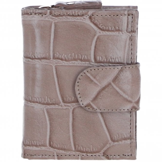 Ashwood Ladies Leather RFID Protected Purse in Mushroom: C-70